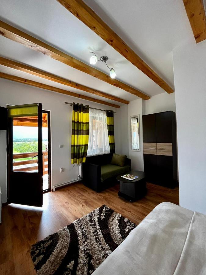 Vila Sofia Haţeg Esterno foto