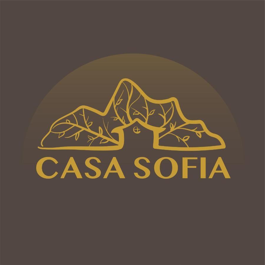 Vila Sofia Haţeg Esterno foto