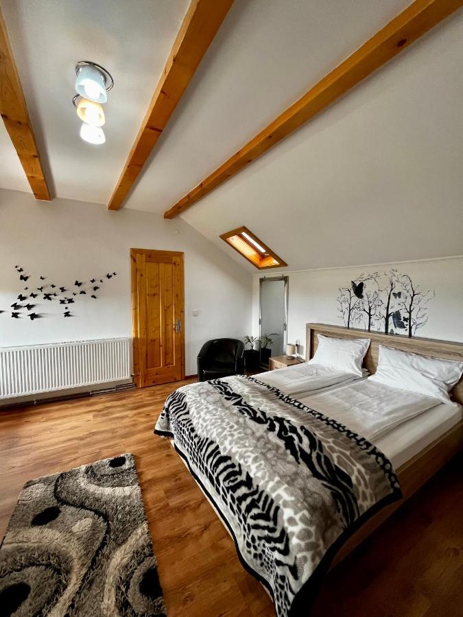 Vila Sofia Haţeg Esterno foto