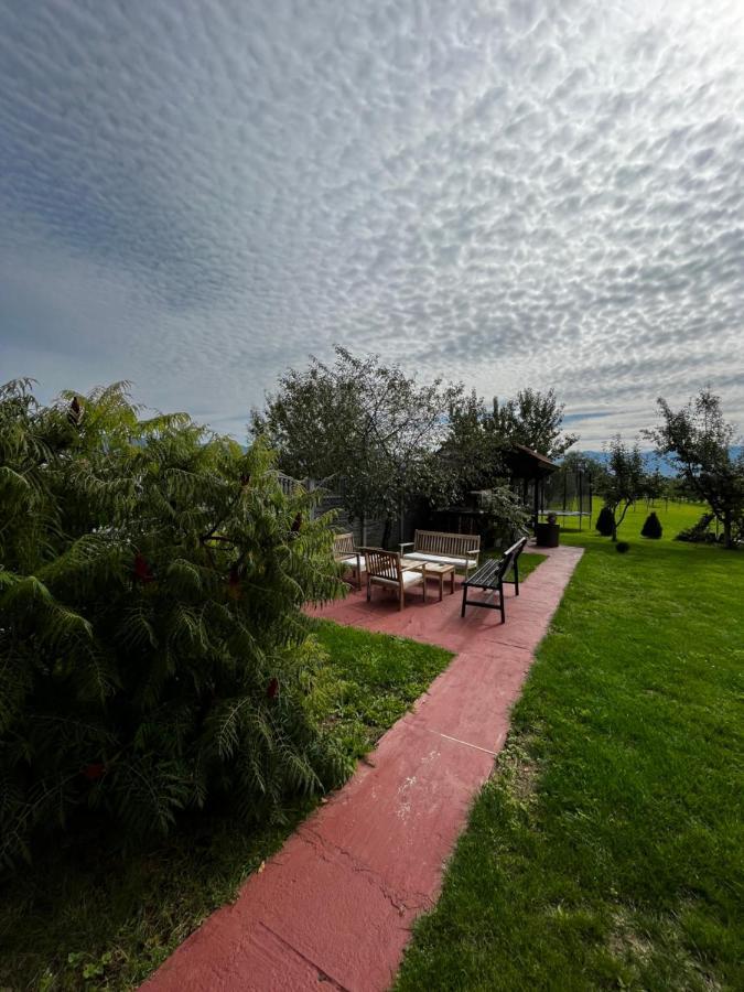 Vila Sofia Haţeg Esterno foto