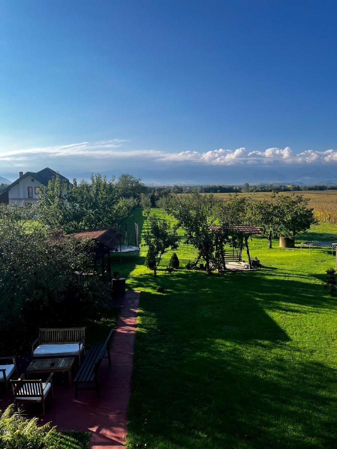 Vila Sofia Haţeg Esterno foto