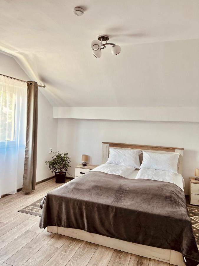Vila Sofia Haţeg Esterno foto